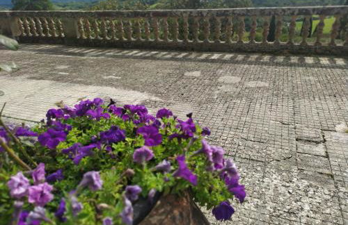 Total Tuscany Countryside Villa - Photo 7