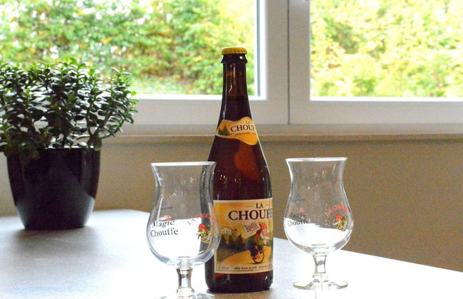 Elegant Child Friendly Villa in Berismenil near Forest - Foto 19