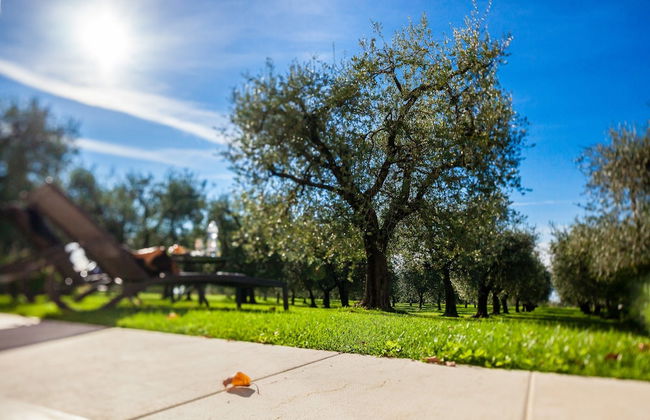 Quercia Belvedere Relais - Photo 79