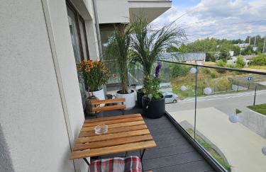 Czarny Słoń - elegancki apartament z klimatem - Photo 43