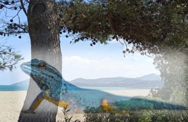 O GECKO MARIN T2 classé entre mer et village à pied - Foto 10