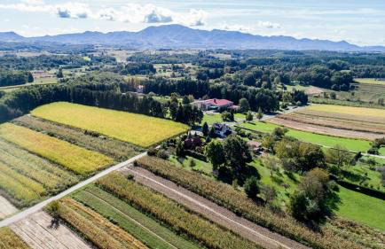 OAK COTTAGE - Foto 20