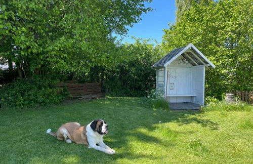 Landhaus "Marcomagus" - Photo 40