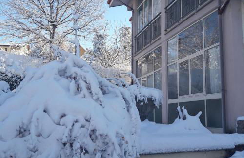 La gazza allegra - Foto 25