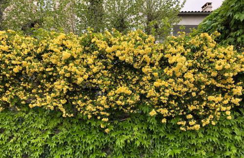 Condrieu et parking voiture vélo 2 ème étage - Foto 71