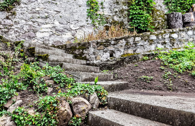 Duck House - Foto 34