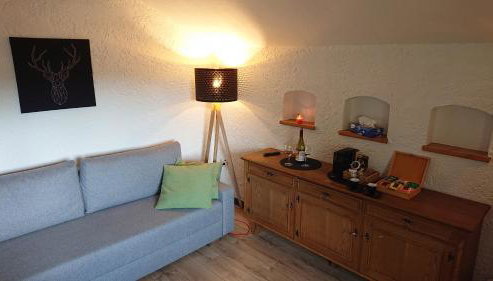 Arber Apartments - Zwieslerwaldhaus - Foto 4