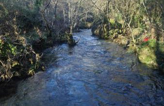 Parada's House - Foto 29