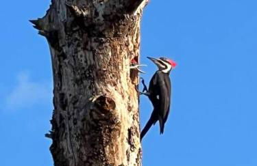 Half Moon Lake property - Foto 44