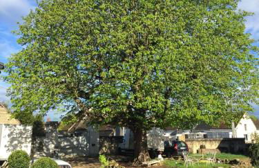 Au Coeur de la Cour - Foto 28