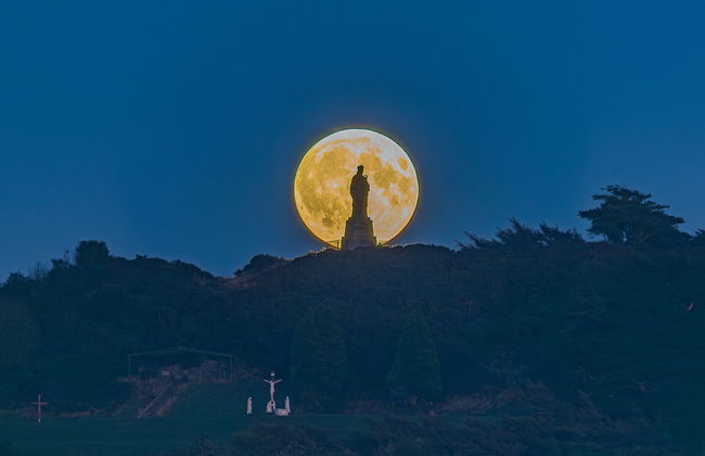 The Heights & Hollows Farmhouse - Foto 52