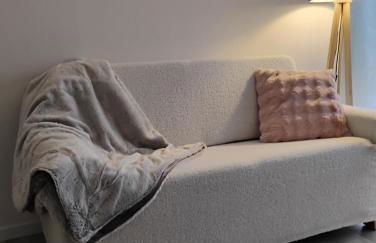 Appartement tt confort prox tram et GARE ou CHU Hautepierre à 5 minutes - Photo 1