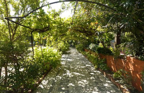 Casa dos Arrábidos - Foto 134