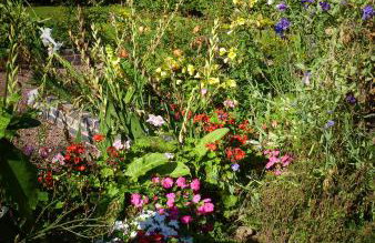 Walwyn Court Barns - Foto 42