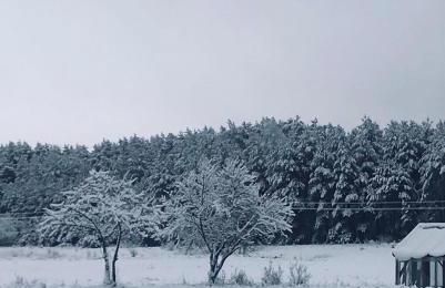 Domek Walentinki - Foto 33