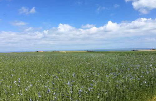 Charmante maison au calme proche de la mer - Foto 8