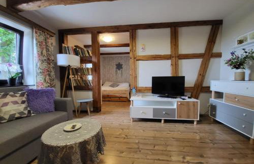 Agroturystyka Łysa Góra - Foto 22