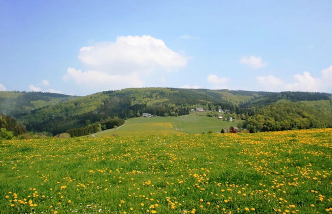 Apartment in Willingen Near Ski Slopes - Photo 16