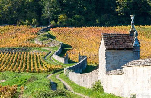 Coeur Chambertin - Foto 21