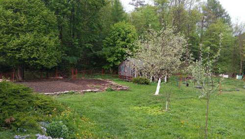 Leśna Kopuła - Foto 3, Garden