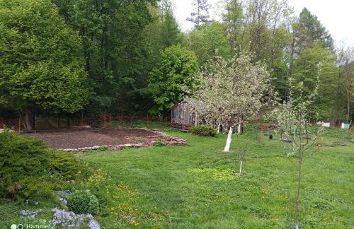 Leśna Kopuła - Foto 3