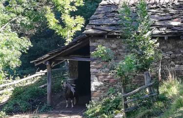 Asturias Boho Chic - Foto 49