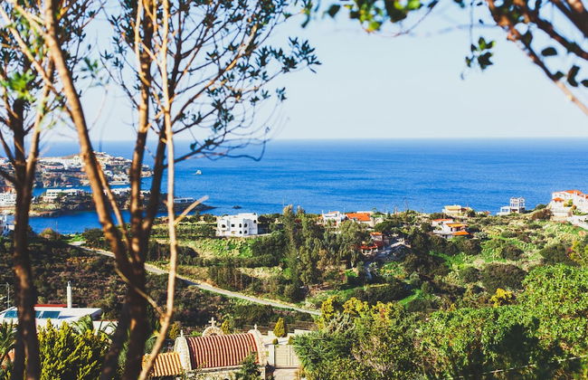 Wild Pear Villa - Foto 62