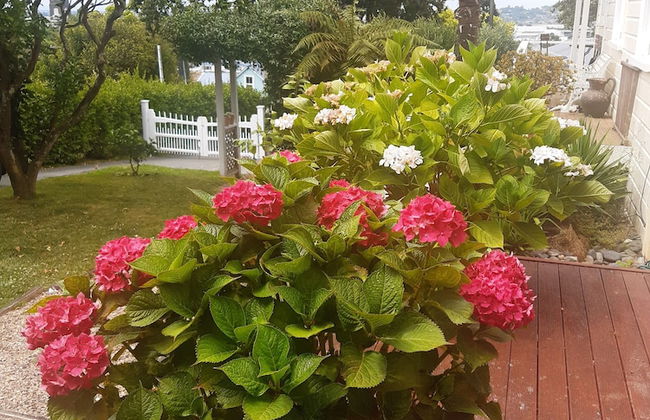 Harbour View Cottage B&B - Foto 41