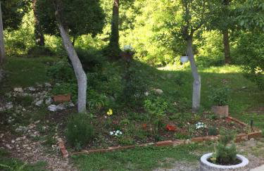 Apartment Filipović - Foto 14