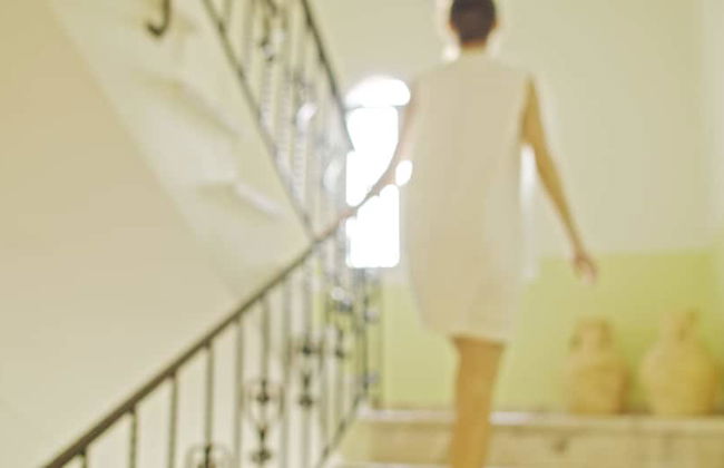 Water Lily - Foto 38