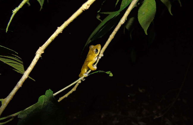 Randonnée de nuit dans le domaine de Rio Agujitas - Photo 5