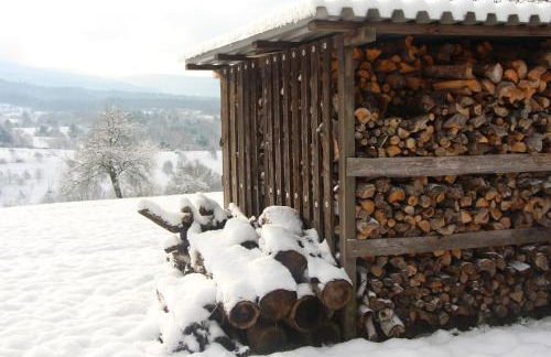 Ferienwohnungen Brack in Gaggenau - Foto 31