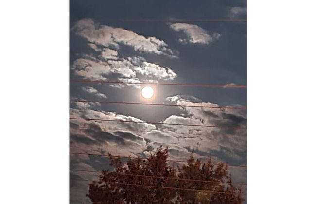 at Bauernsee Modern Retreat - Foto 20