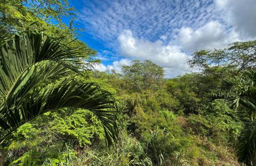 Blue ocean views, AC, 2B2B, Pool, 2 Min Magic sands Beach - Foto 34