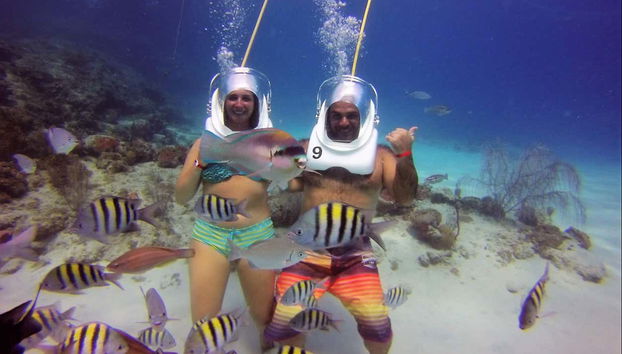 Pesci colorati a Santa Marta