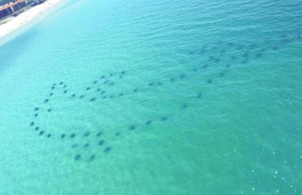 Emerald Towers 1203 - Aqua Vista Getaway - Foto 40