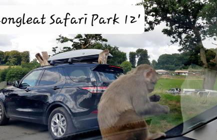 Bumblebee checkout 2pm Frome Longleat Aqua Sana Bath 5 people PRIVACY - Foto 20