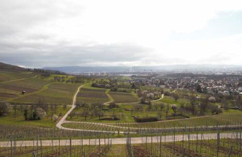 Wohlfühloase im Dreiländereck - Foto 5