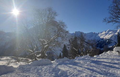 Haus Pfannenhölzer - Foto 15