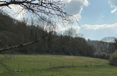 la sifflerie - Foto 58