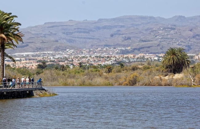 Apartamentos Tamara - Foto 49