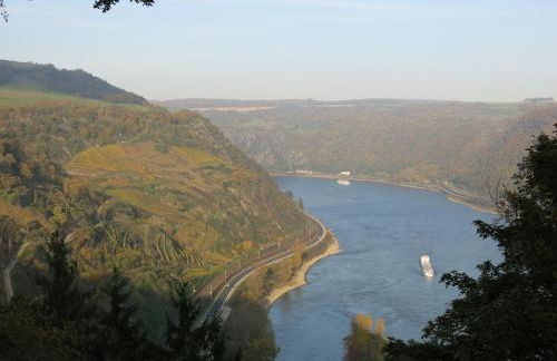Roosartige Ferien - Ferienwohnung im Hanswieschen - Oberwesel Bacharach - Foto 25