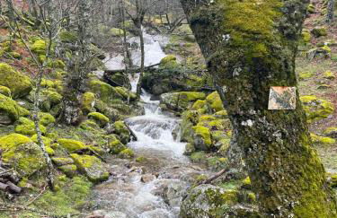 El Secreto del Arroyo - Photo 70