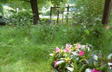 Ferienwohnung Ronja - Foto 30