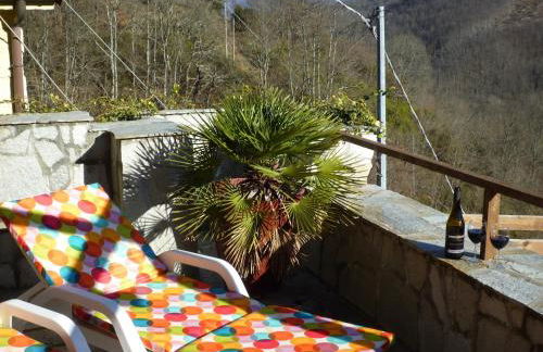 Fraseneggi - Foto 28