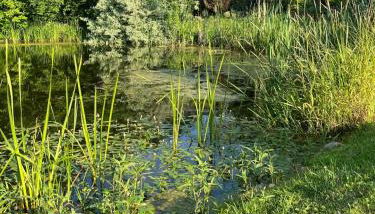 Landhaus Paulina - Photo 5