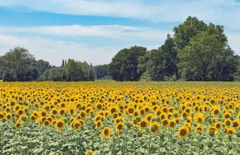 Lovely Home In St Cannat - Foto 56