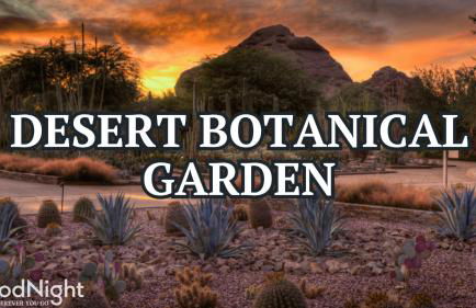 Windchime - Multiple Patios - Mins to Old Town - Foto 63