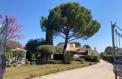 Les Bougainvillées de Camargue - Photo 34