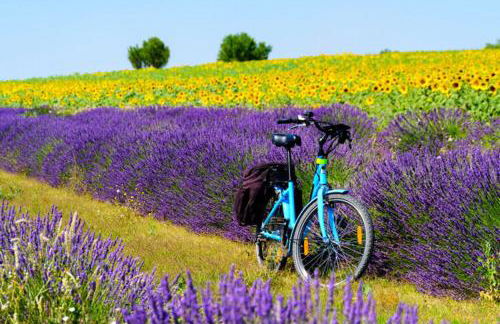 Gite Esprit Colibri - Foto 2